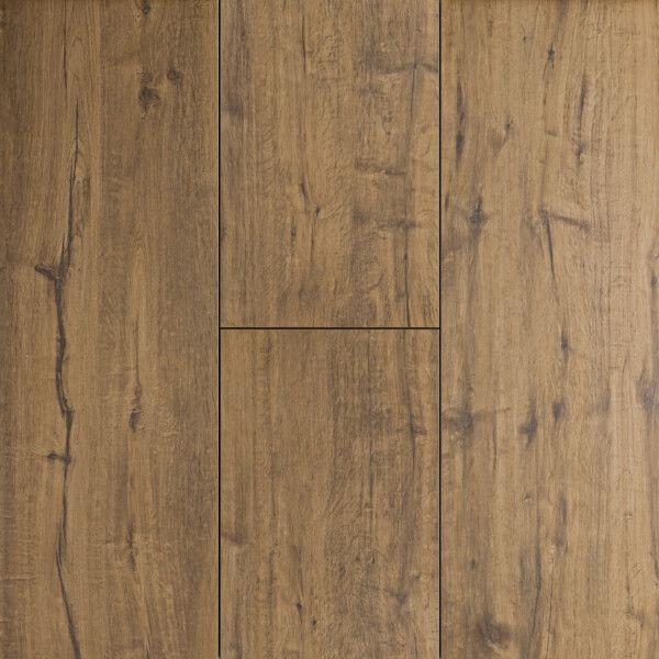 S 41 4000132 Woodlook Mahony 40x120