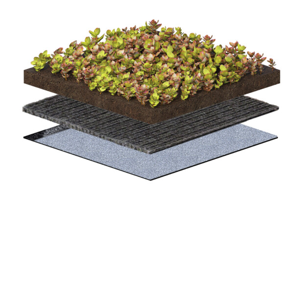 BISOFLOR Extensiv Substrat